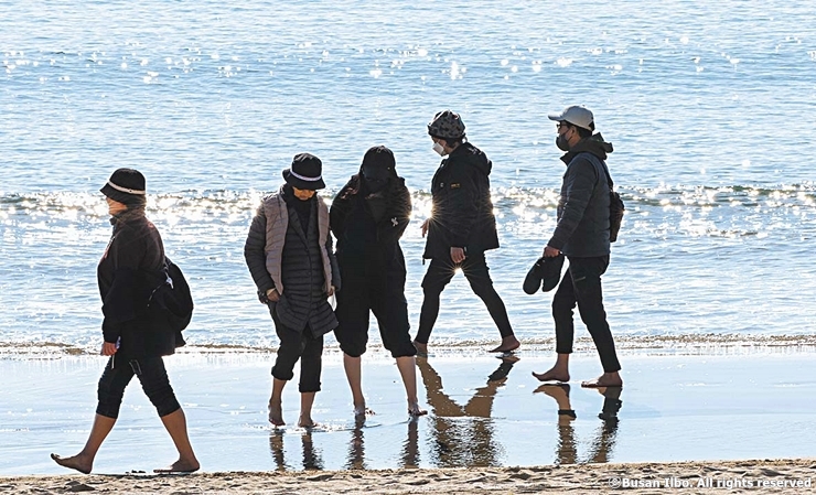 8-5cw10 송정해수욕장 걷기-부산일보